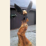 Eagle